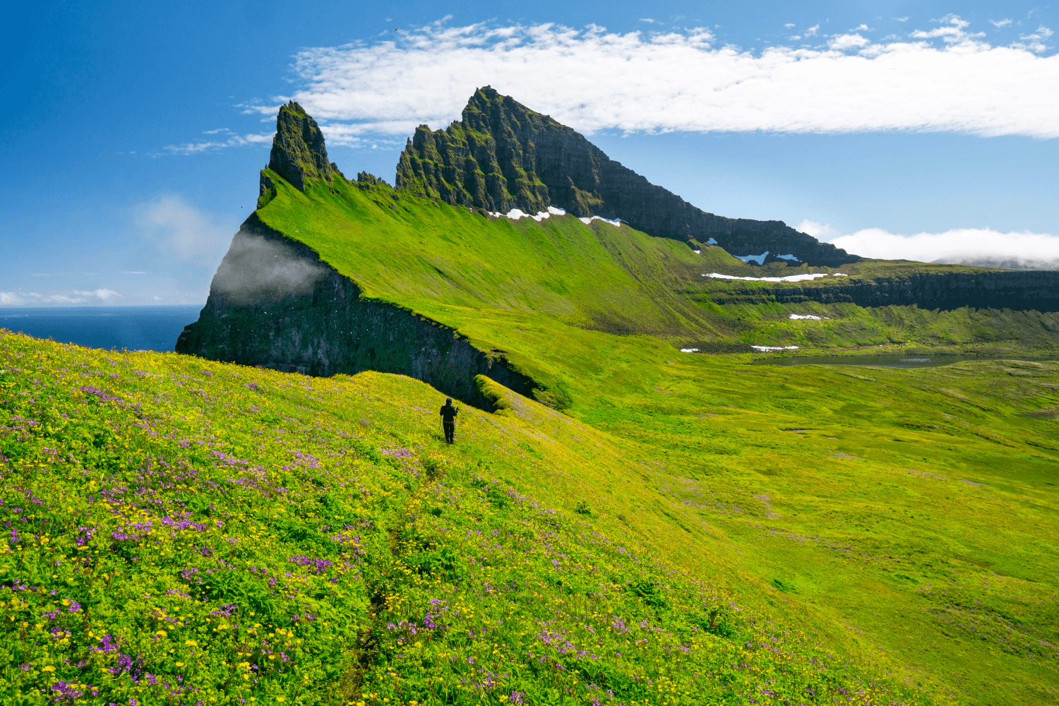 Westfjords landscape