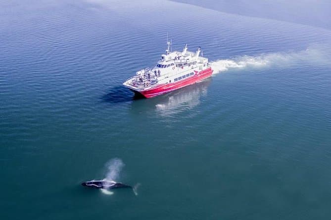 Sights along the Akureyri Classic Whale Watching tour
