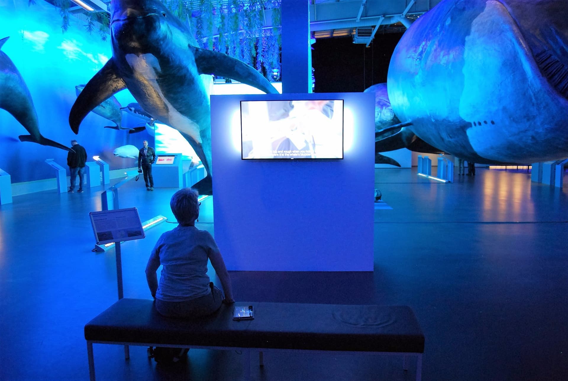 Interactive exhibitions