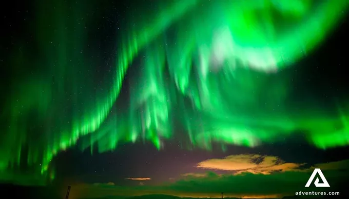 Whales & Auroras – Iceland tour