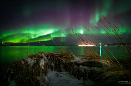 Best of Iceland Winter Special 2-Day Golden Circle, South Coast and Northern Lights Tour